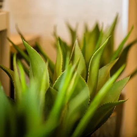 Amadores Apartmanhotel 4*