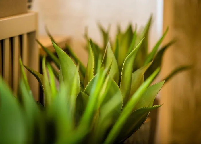 Amadores Appart hôtel 4*